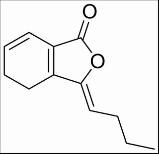 中藥標(biāo)準(zhǔn)品