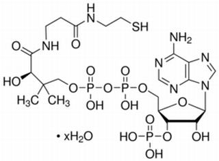 酶類