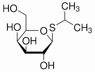 碳水化合物類