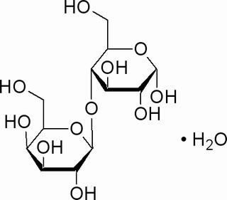 碳水化合物類