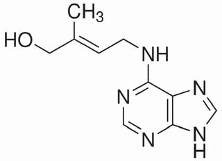 植物激素及核酸類