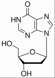 植物激素及核酸類