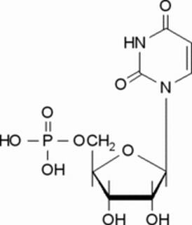 植物激素及核酸類