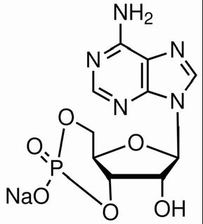 植物激素及核酸類