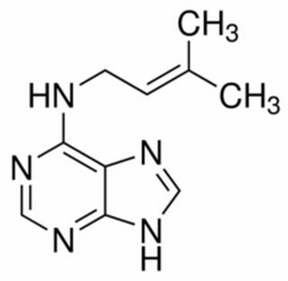 植物激素及核酸類