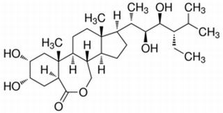 植物激素及核酸類