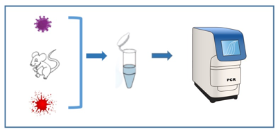 直接PCR